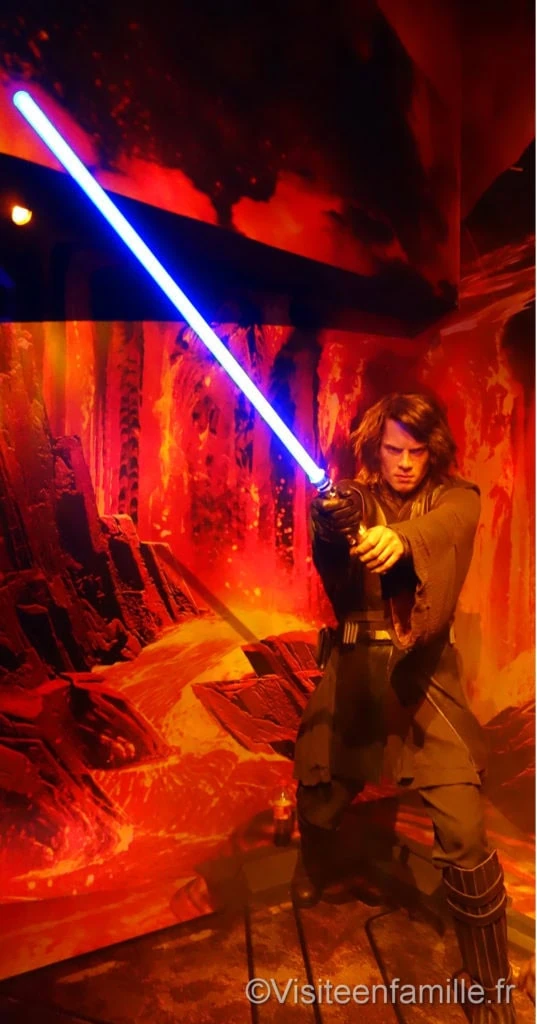 dsc08950_redimensionner-ok