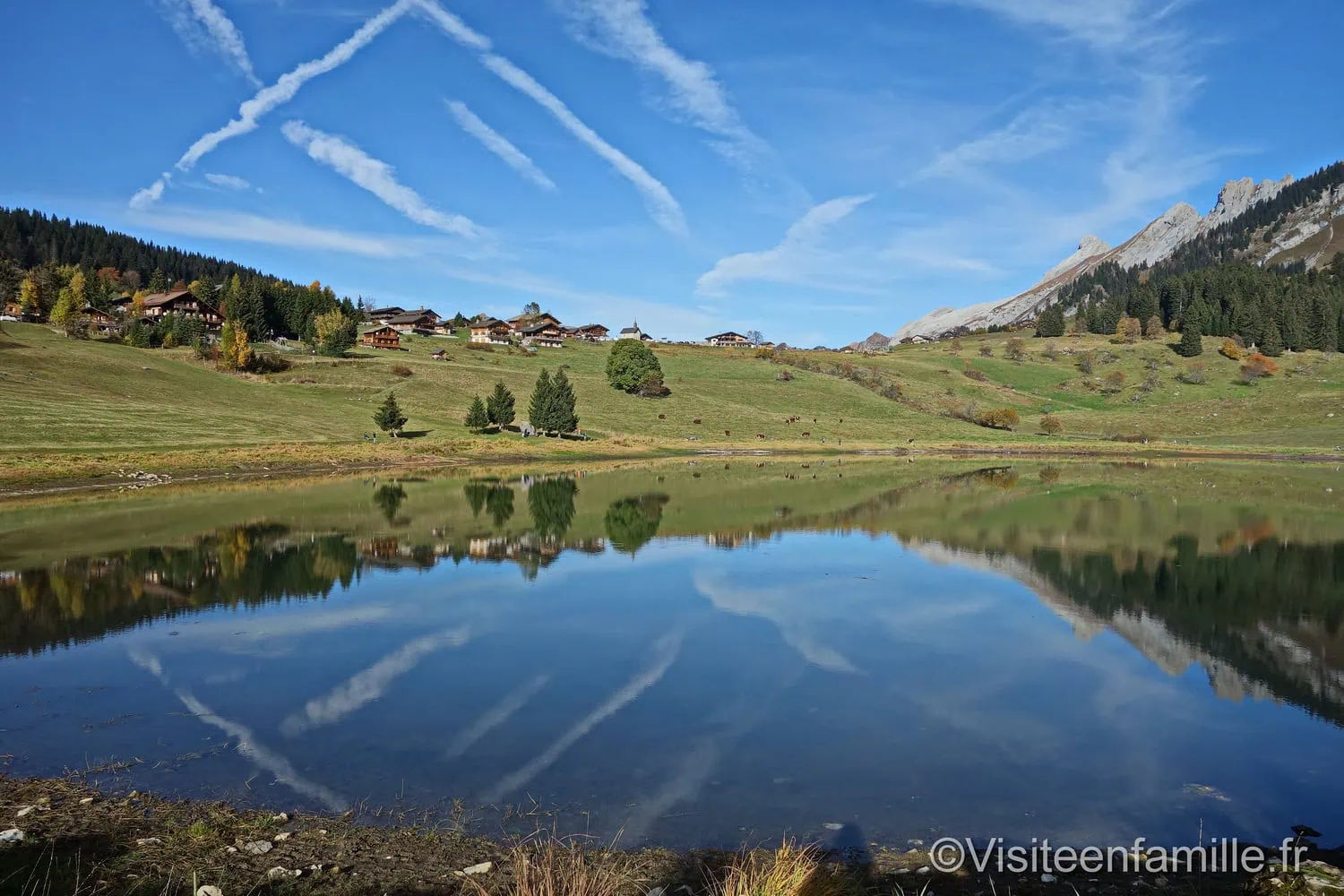 art vache au Grand-Bornand