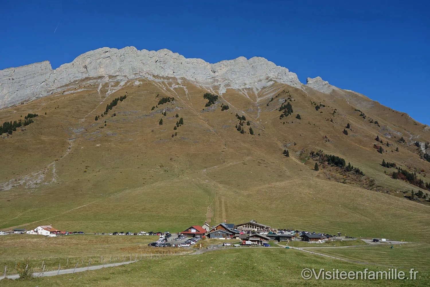 art vache au Grand-Bornand