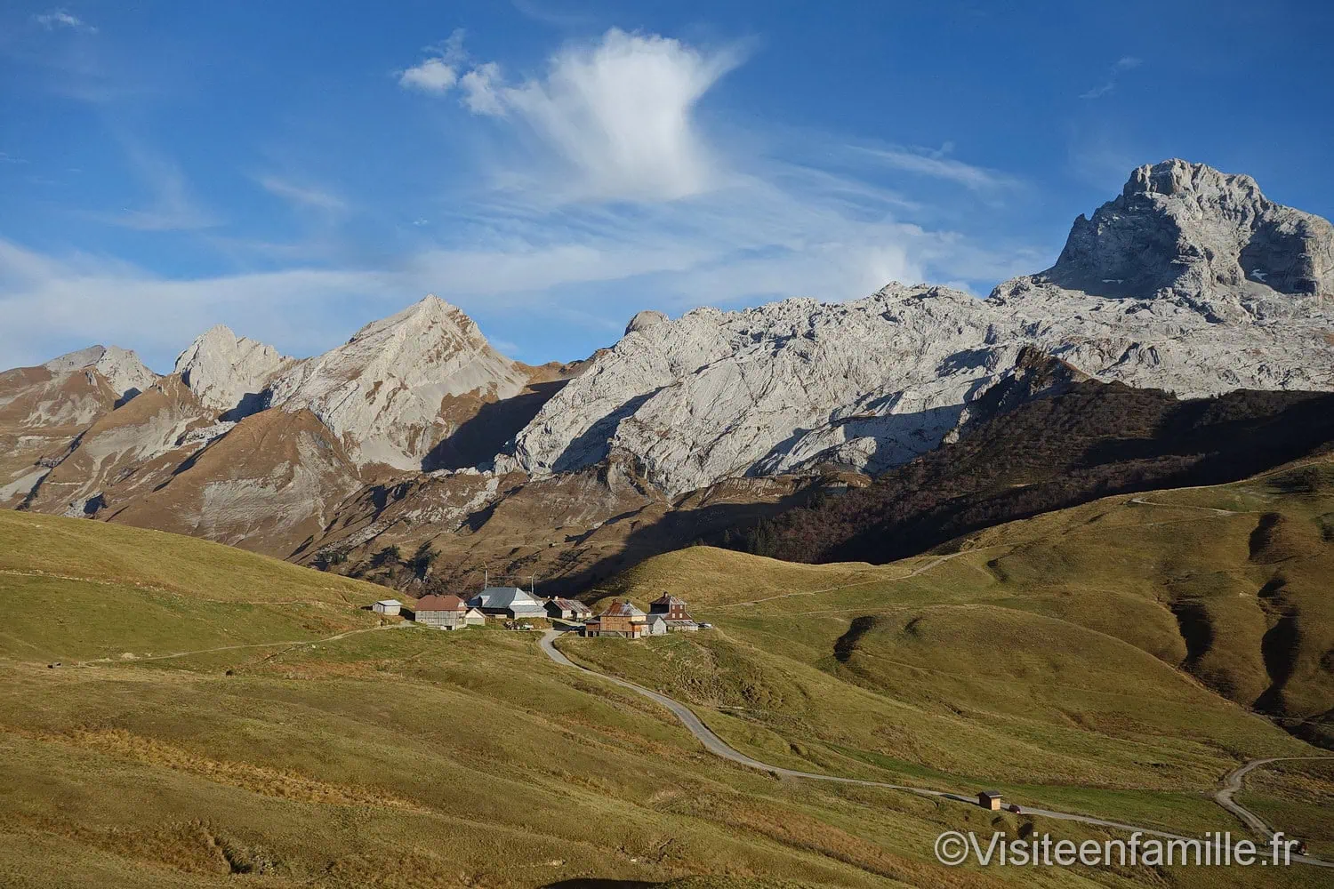 art vache au Grand-Bornand