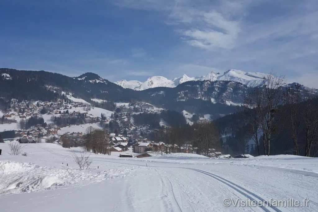 dsc01534_redimensionner