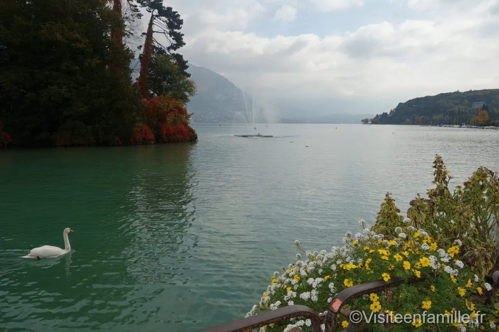 dsc01811_redimensionner