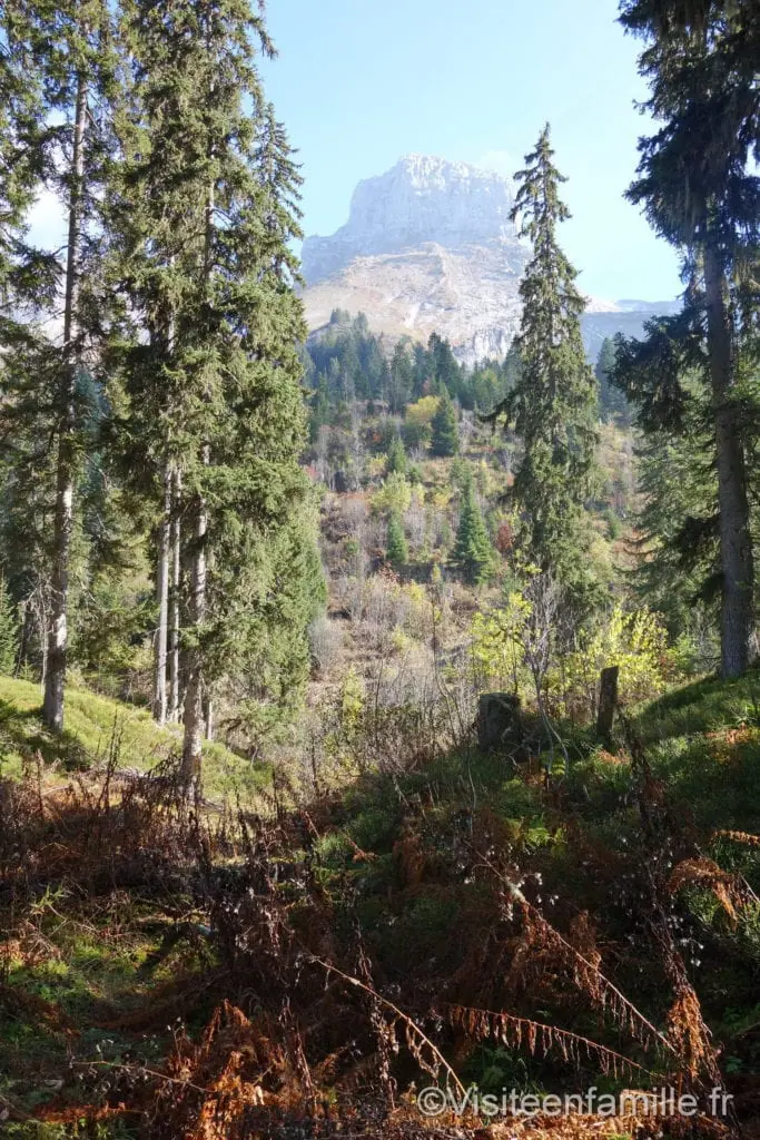 dsc01852_redimensionner