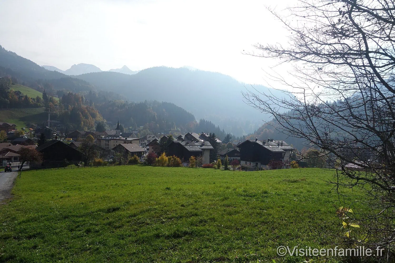 art vache au Grand-Bornand