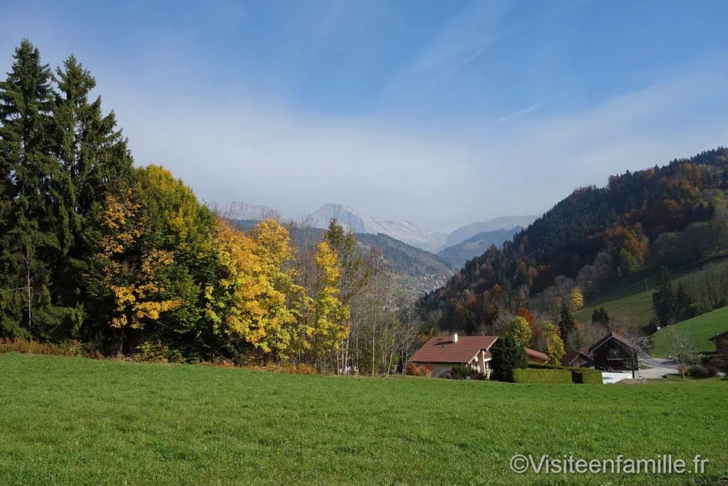 dsc01894_redimensionner