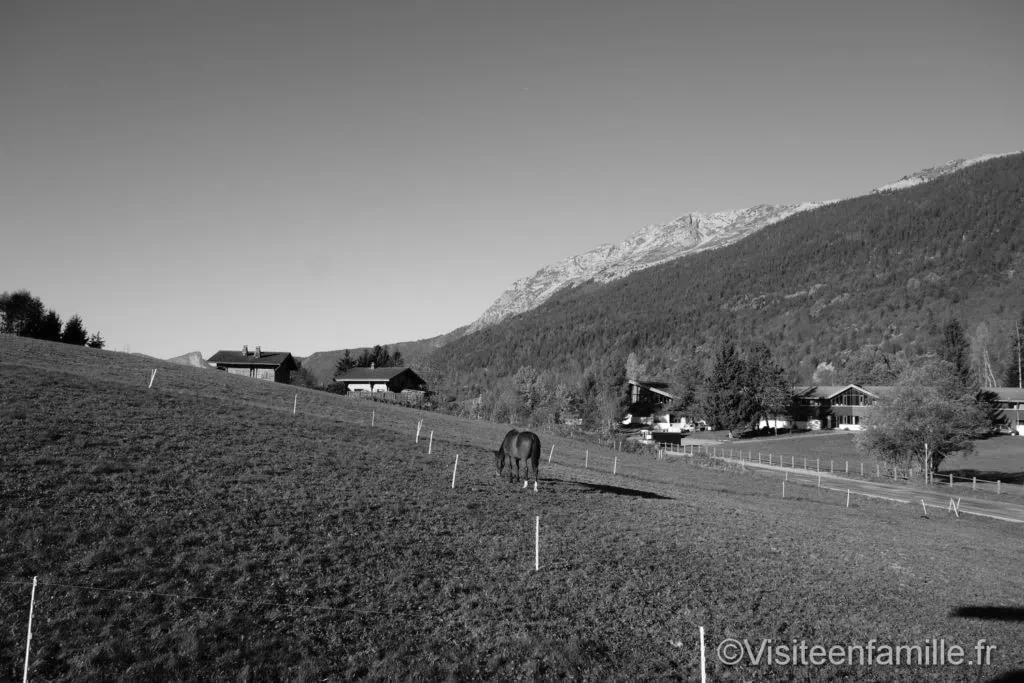 dsc01942_redimensionner