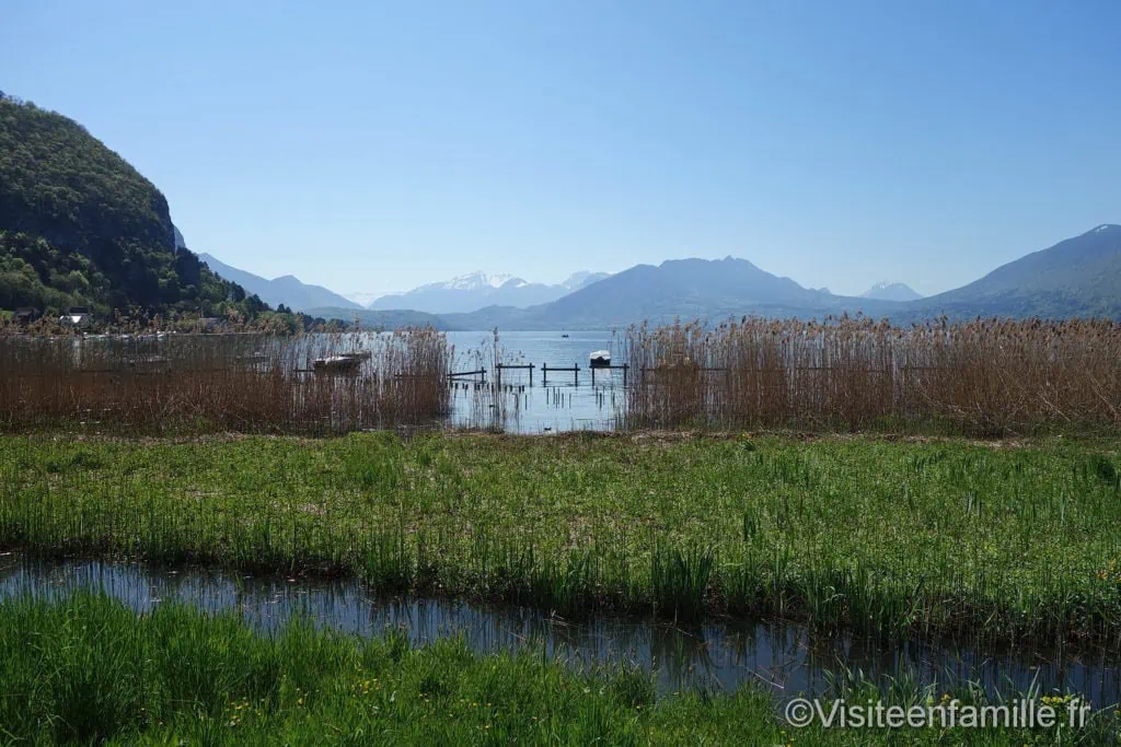 dsc07213_redimensionner