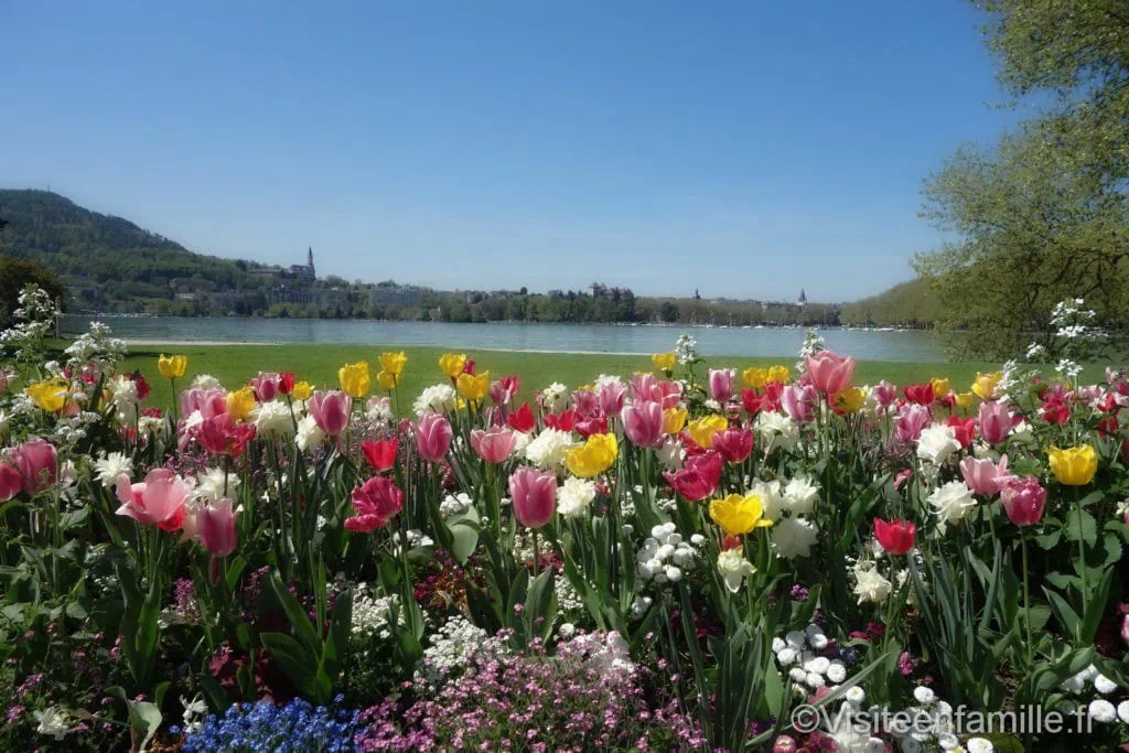 dsc07224_redimensionner