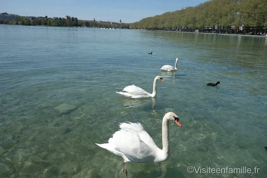 dsc07232_redimensionner