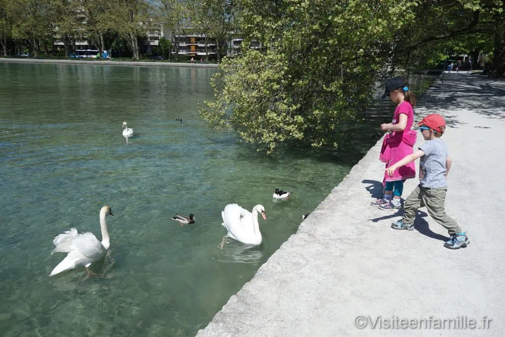 dsc07235_redimensionner