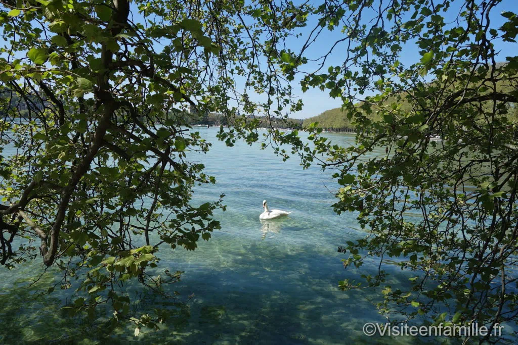 dsc07246_redimensionner