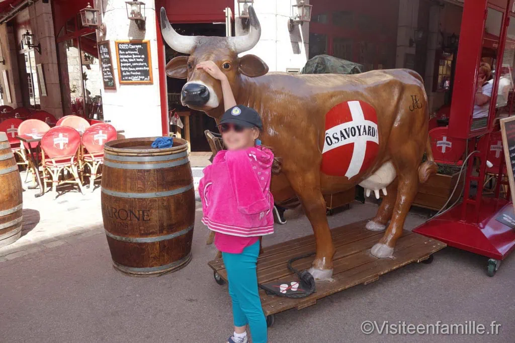 dsc07272_redimensionner