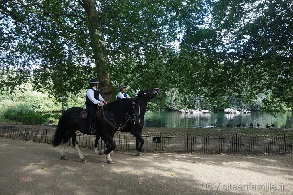 St James’s Park cheval