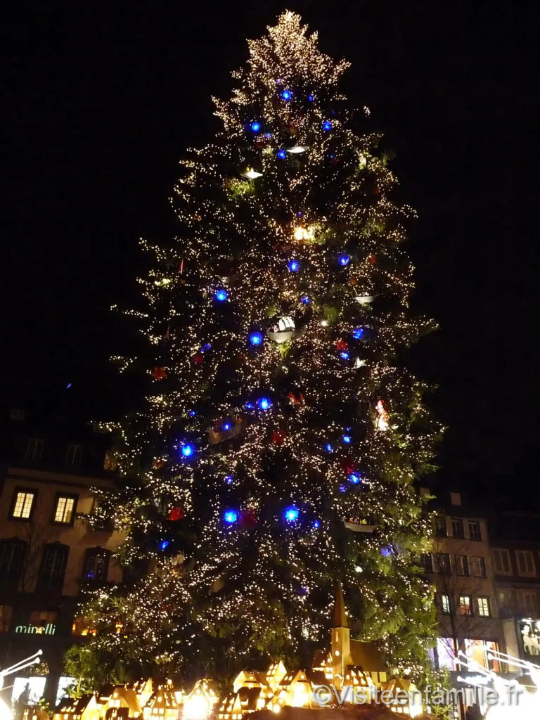 p1090958_redimensionner