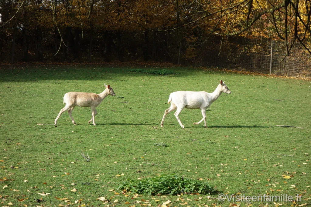 parc de Sainte-Croix