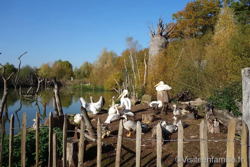 parc de Sainte-Croix