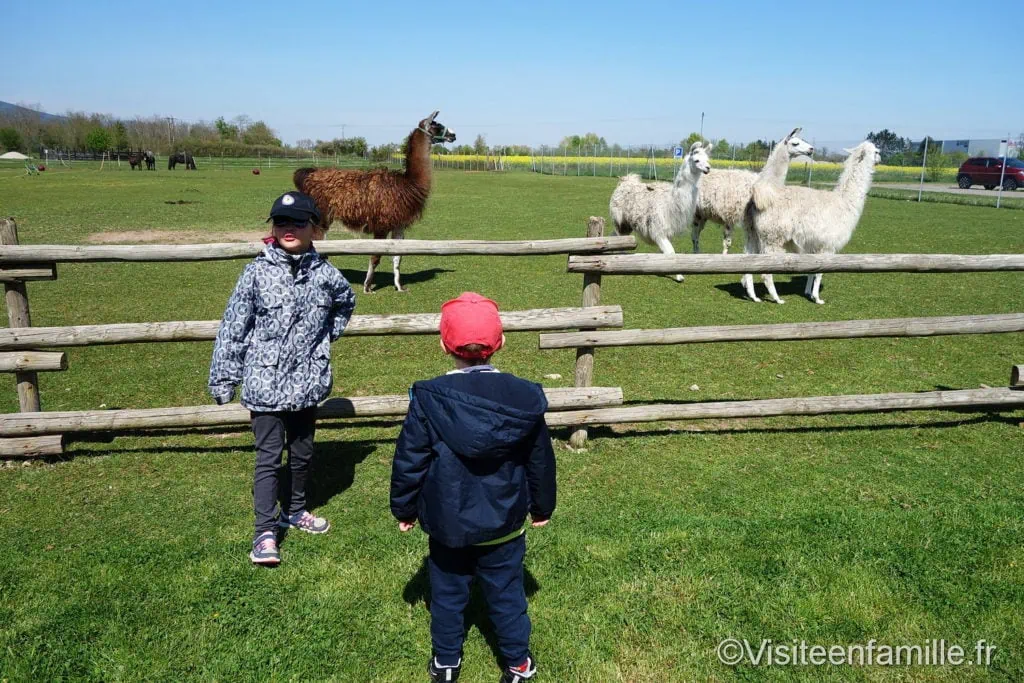 dsc06868_redimensionner