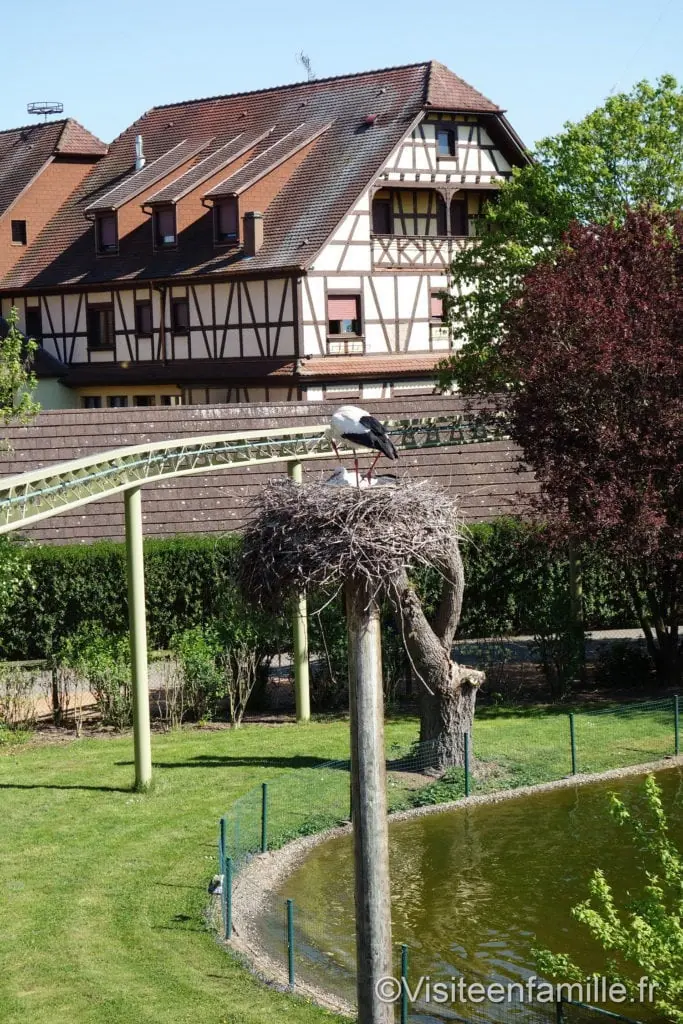 dsc06912_redimensionner