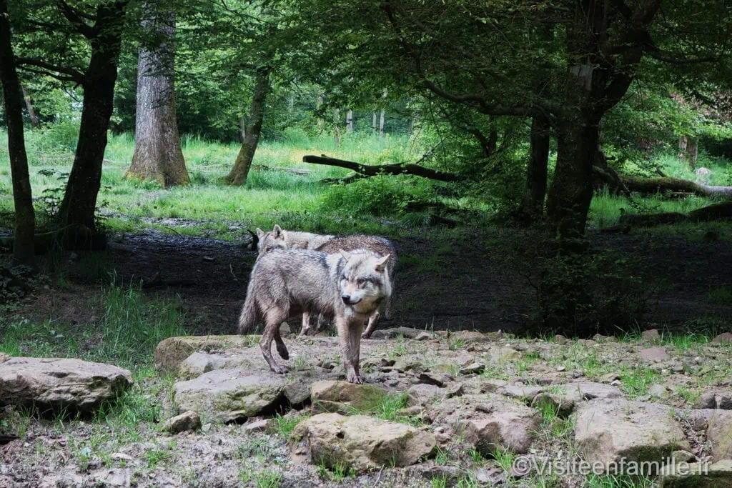parc de Sainte-Croix