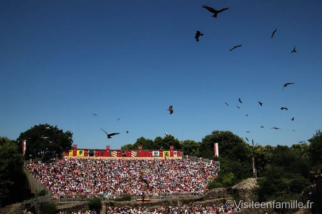 Des faucons et des aigles pour le spectacle Le Bal des Oiseaux Fantômes au Puy du Fou