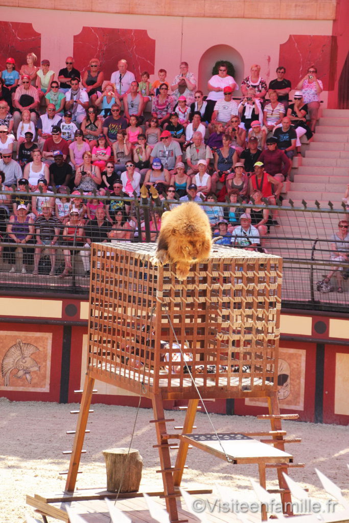 Lion sur une cage du spectacle Le signe du triomphe au Puy du Fou