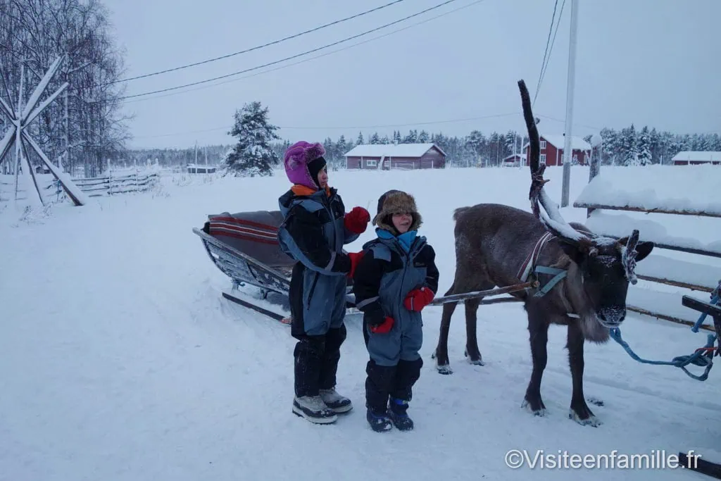 traineau tire par un renne avec les enfants