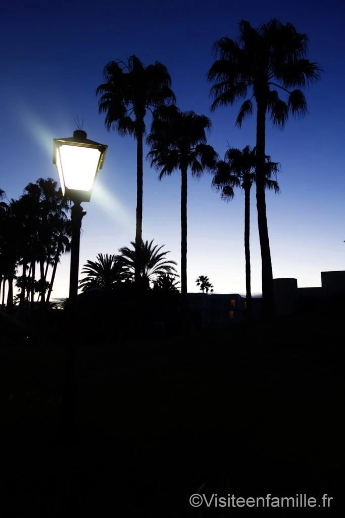 Jardin de nuit Hôtel Riu Paraiso