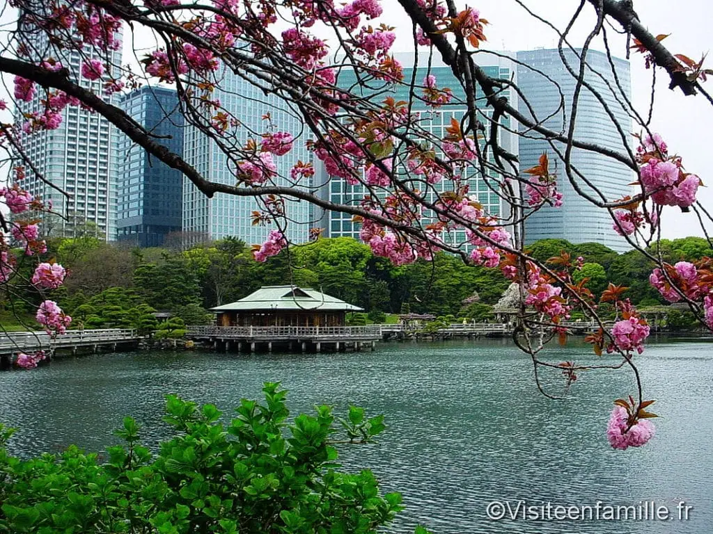 maison de thé au milieu des buildings