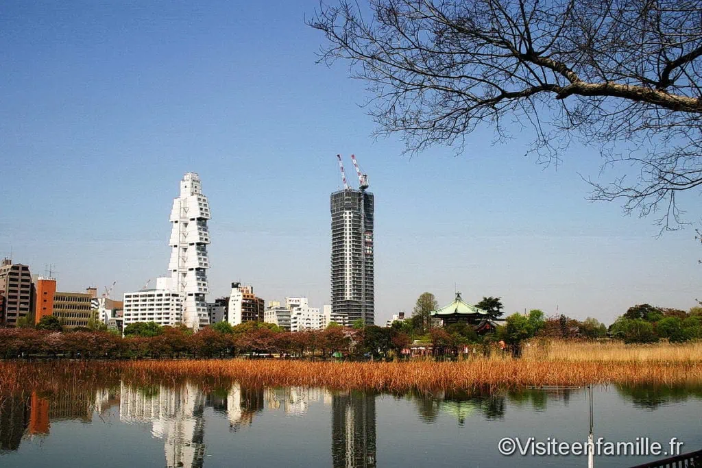 Vu de tokyo depuis le Parc Ueno
