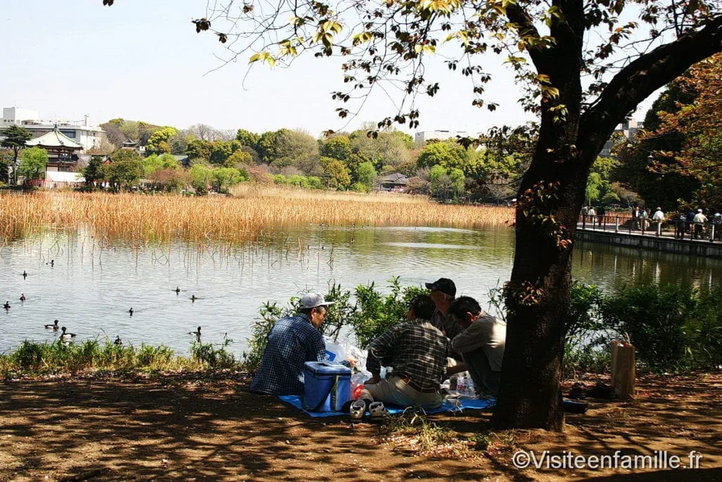 pique-nique Parc Ueno
