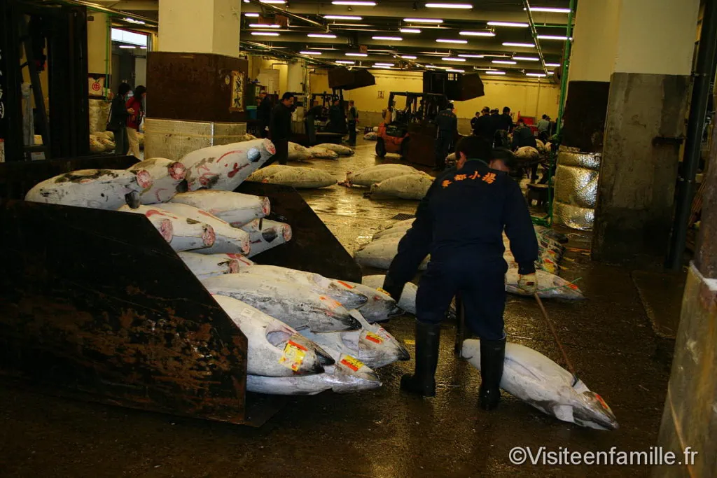 marché aux poissons japon