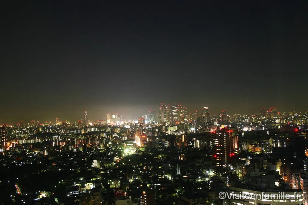 Tokyo de nuit
