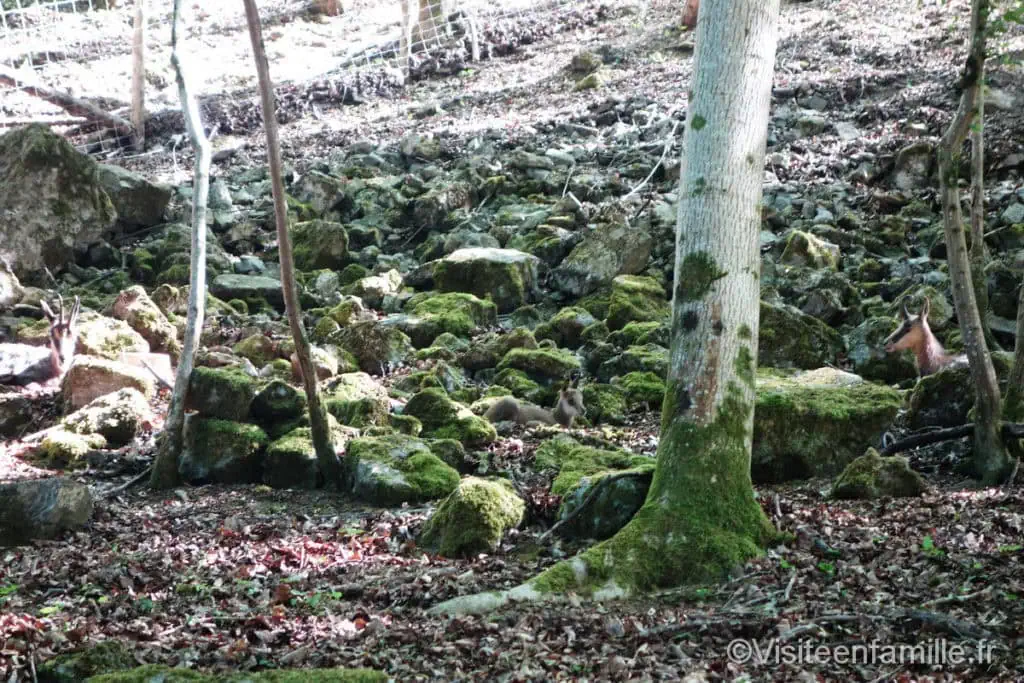 grottes