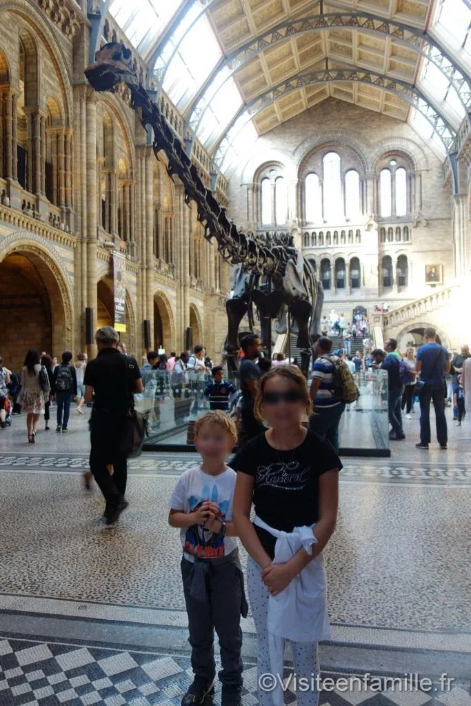 dinosaure Natural History Museum
