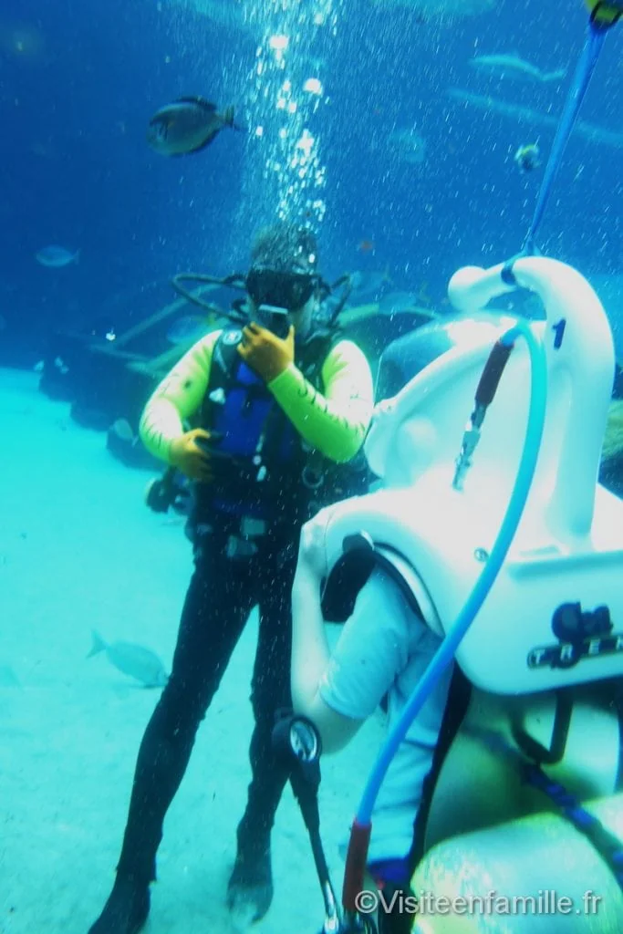 Scaphandre shark Safari