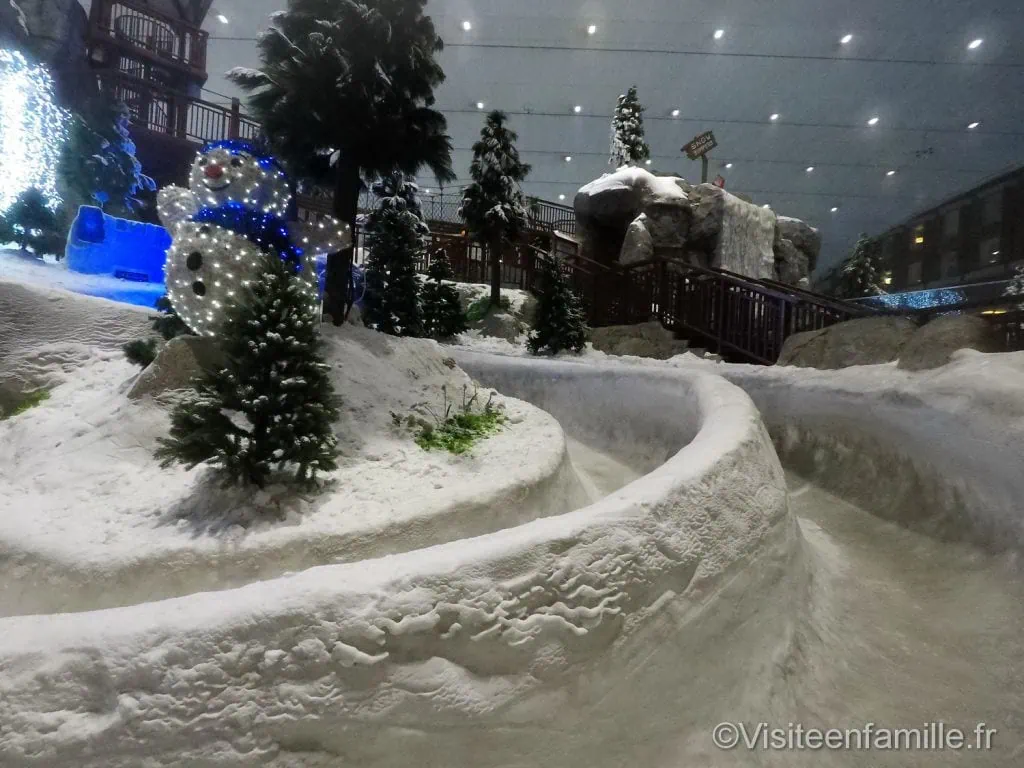 ski