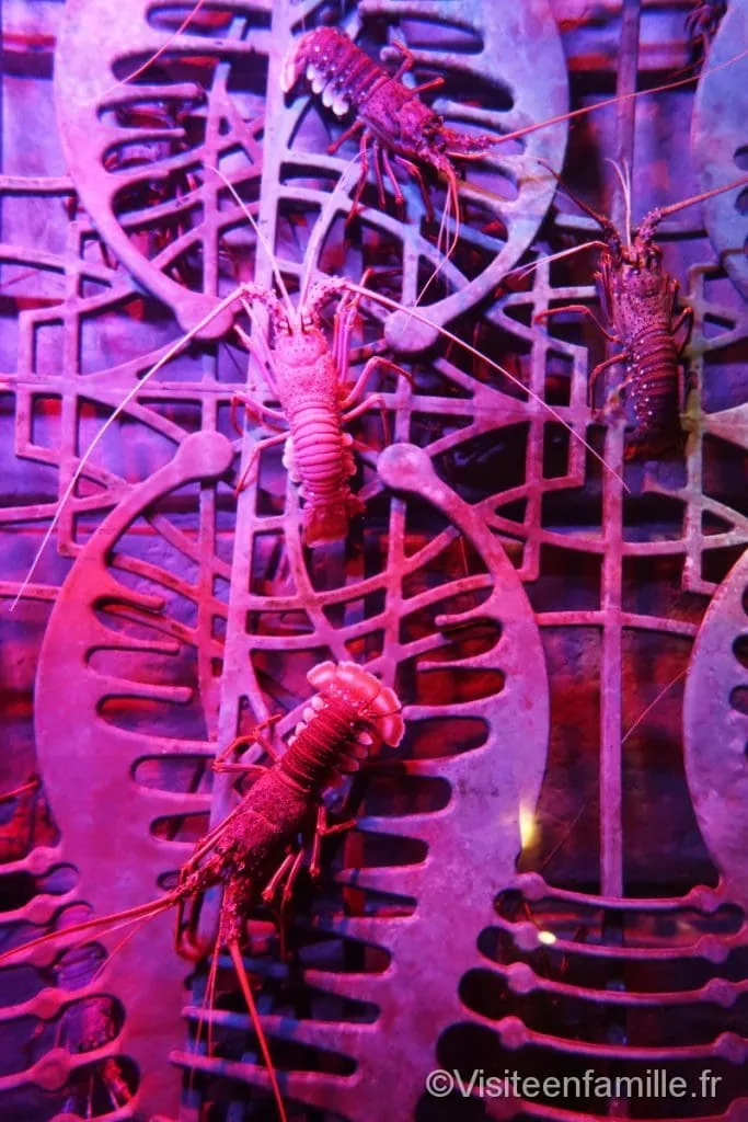 aquarium