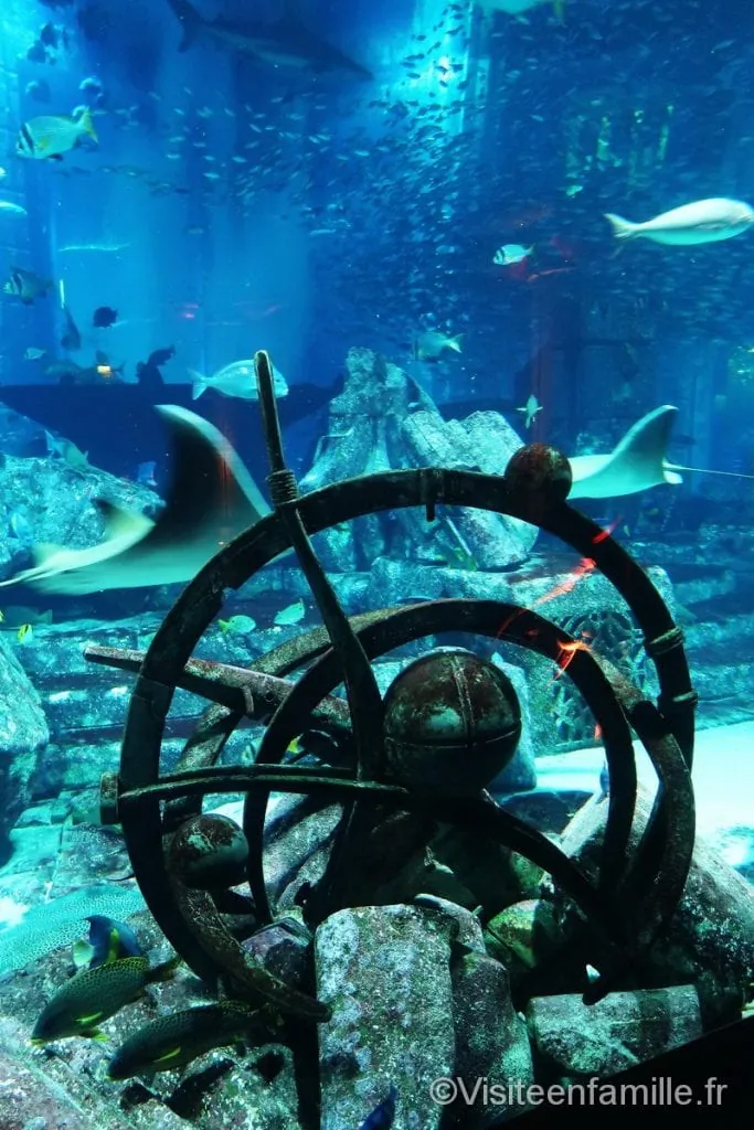 aquarium