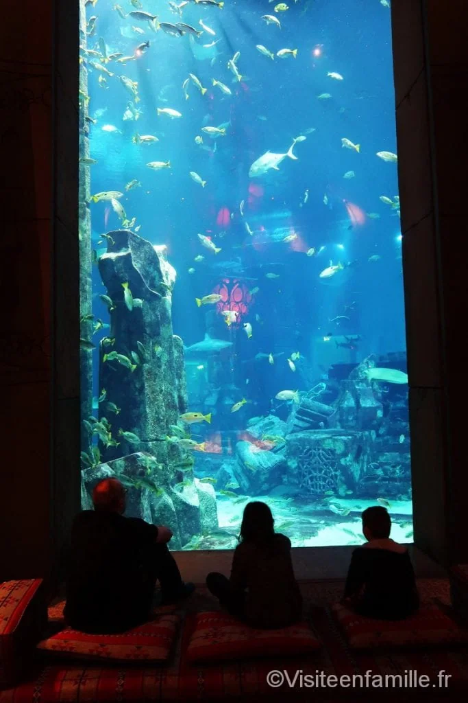 aquarium