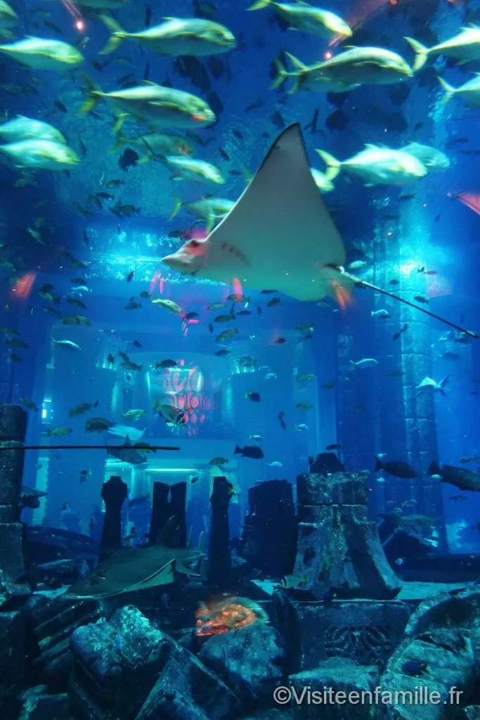 aquarium