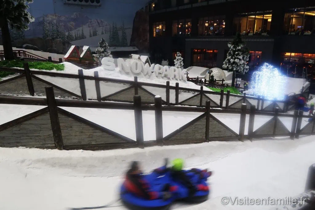 ski