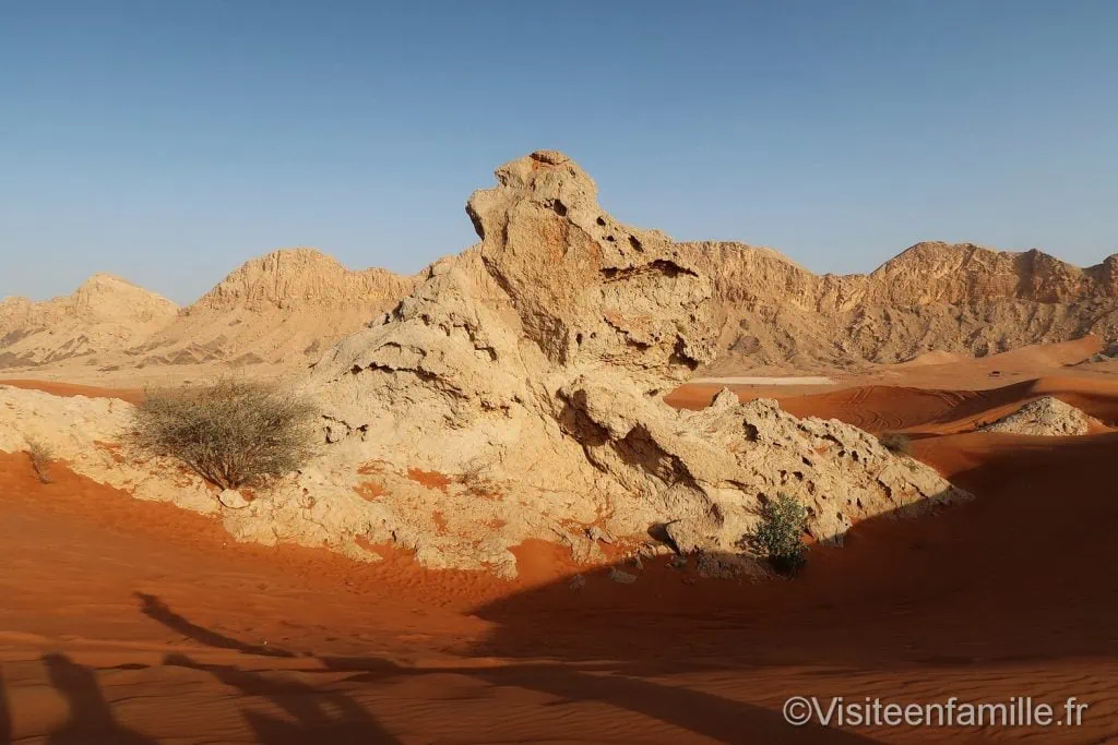 Camel rock dubai