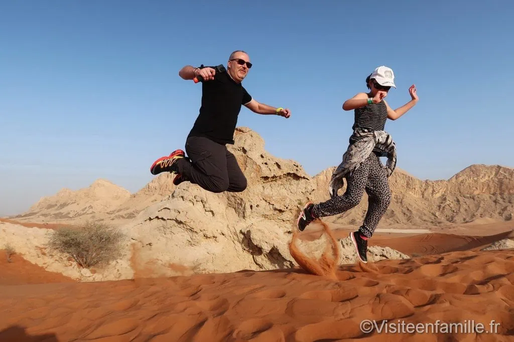 Camel rock dubai