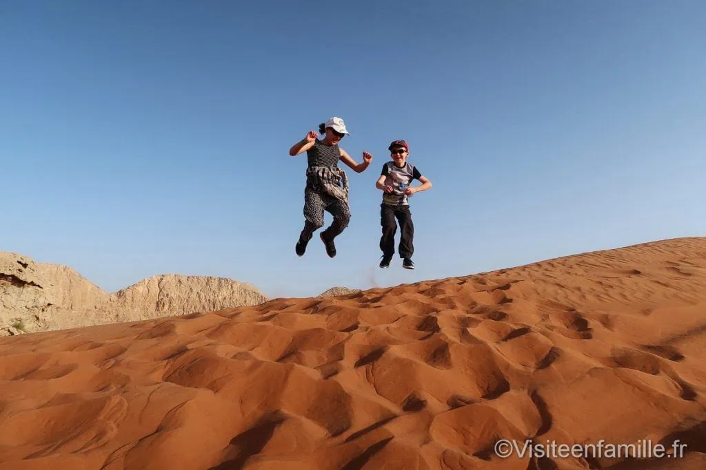 Camel rock dubai