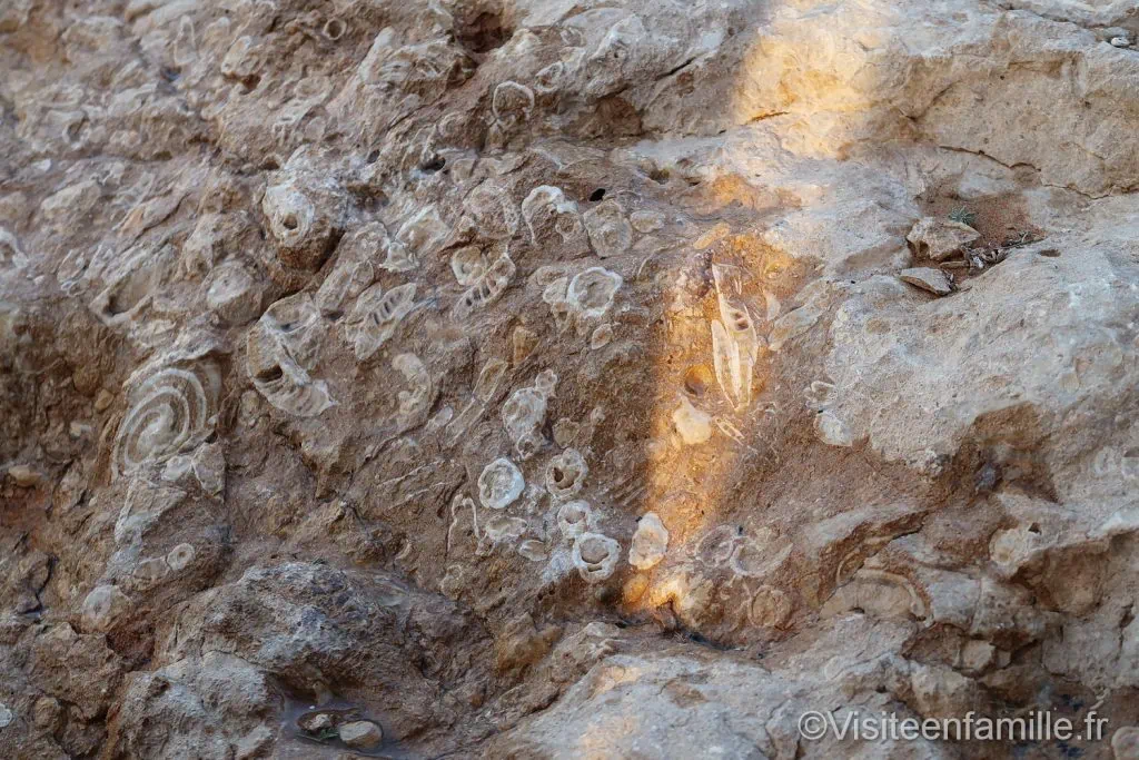 Fossil rock 4x4 extreme safari