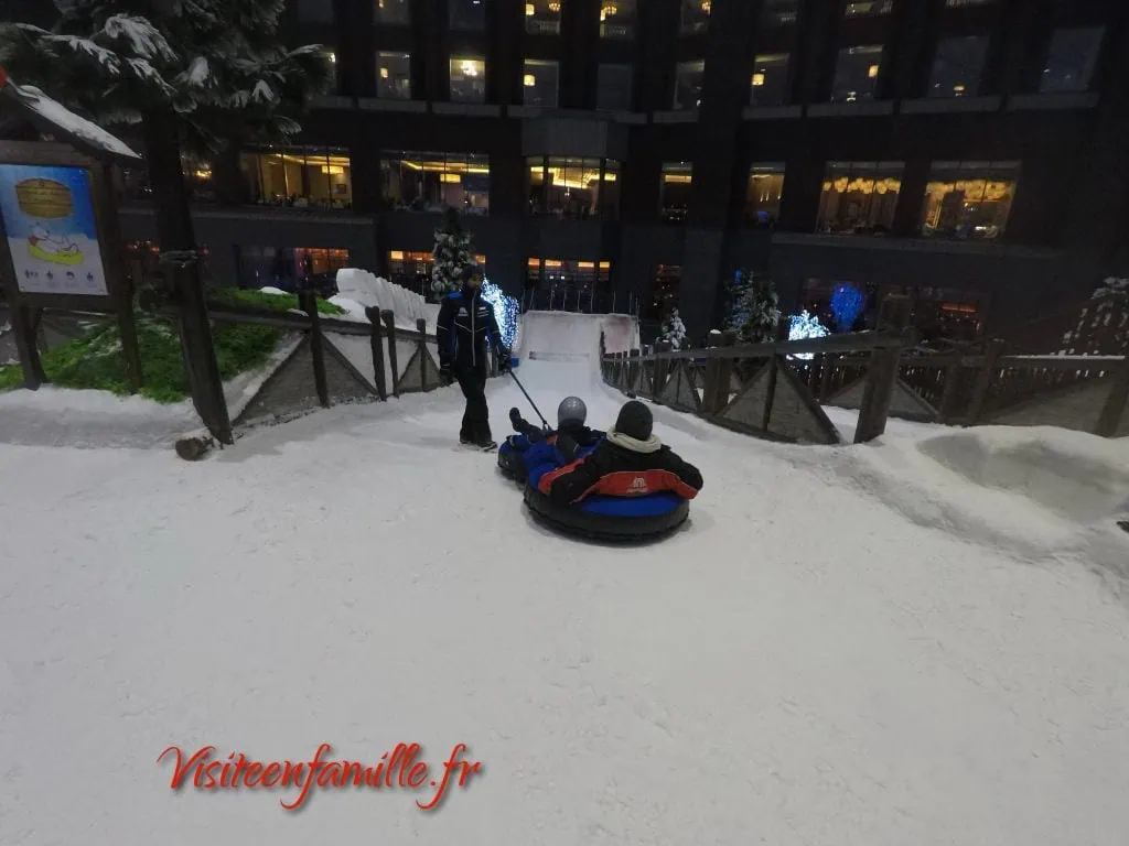ski