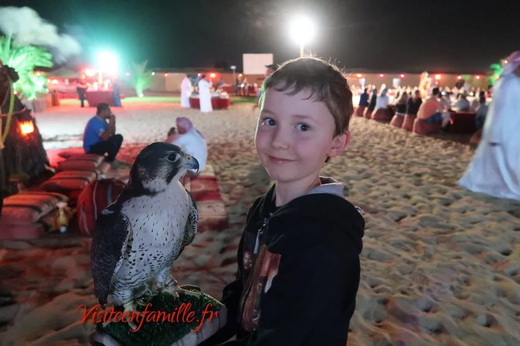 extreme safari dubai hawk
