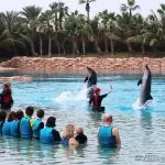 office tourisme Dubai