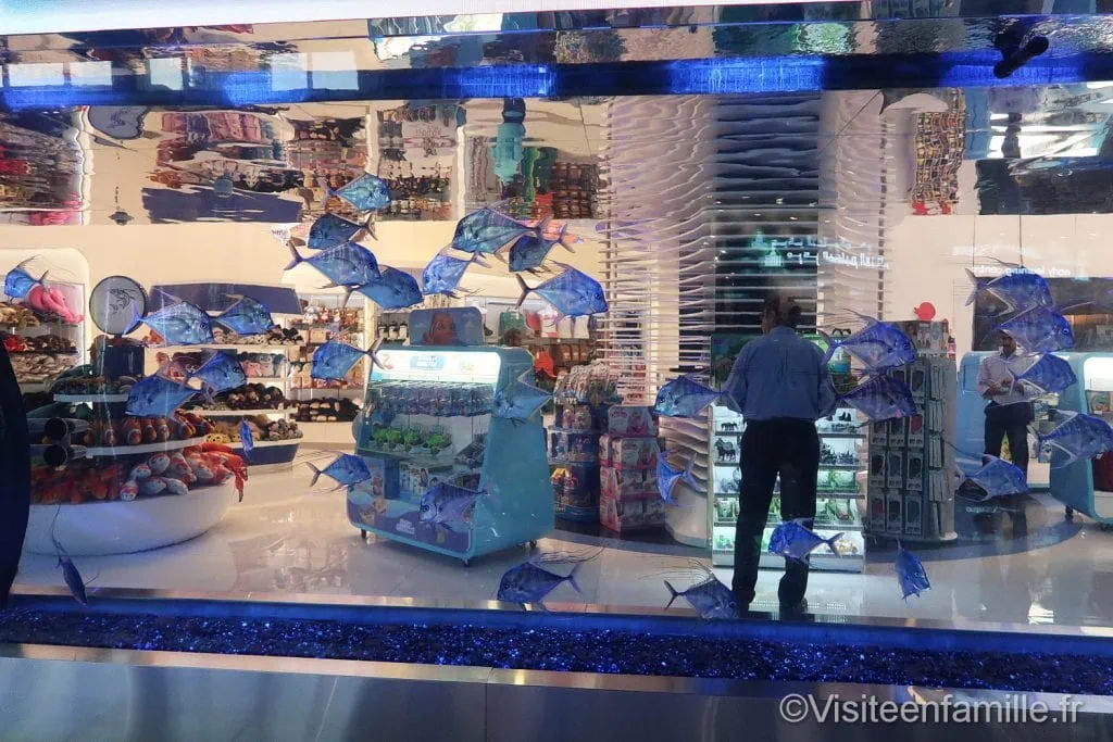 Vitrine de poissons dubai mall