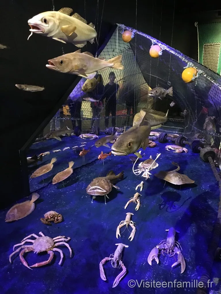 phare d'Eckmühl Visite du pays Bigouden : le Guilvinec, Haliotika, le phare d'Eckmühl